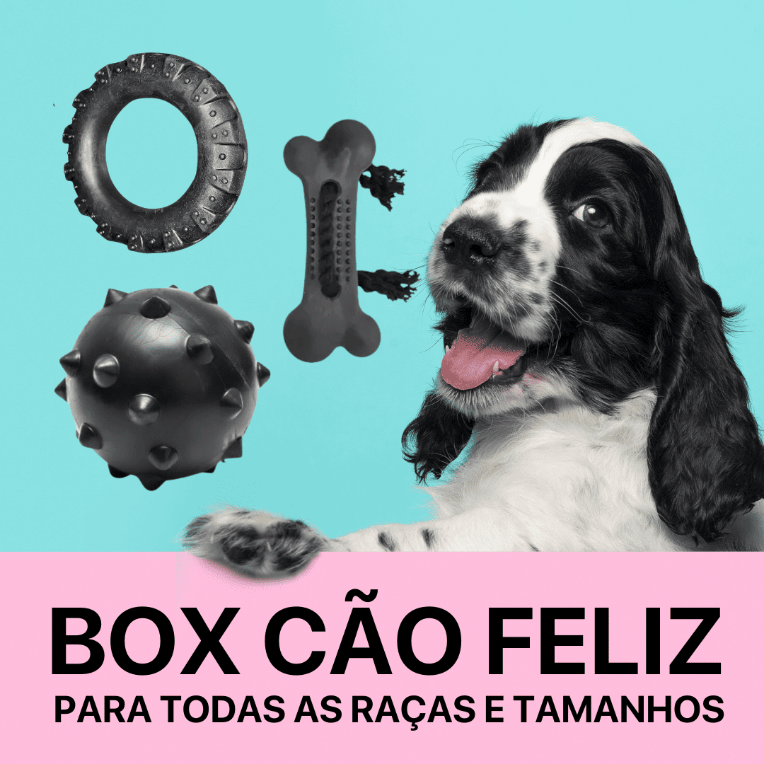 BOX CÃO FELIZ - 3 BRINQUEDOS + BRINDE