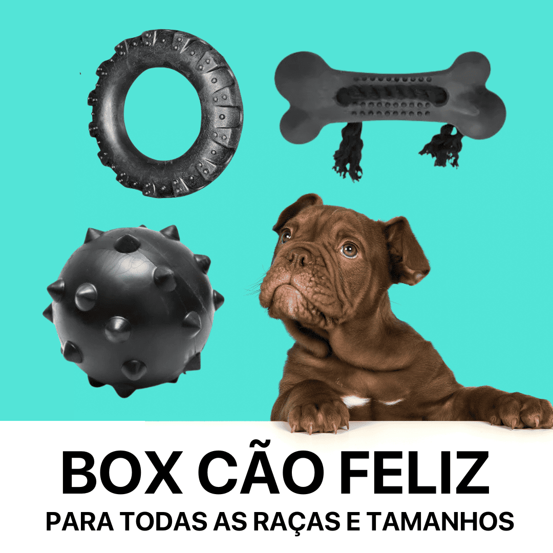 BOX CÃO FELIZ - 3 BRINQUEDOS + BRINDE