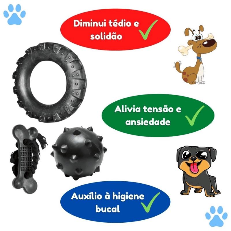 BOX CÃO FELIZ - 3 BRINQUEDOS + BRINDE