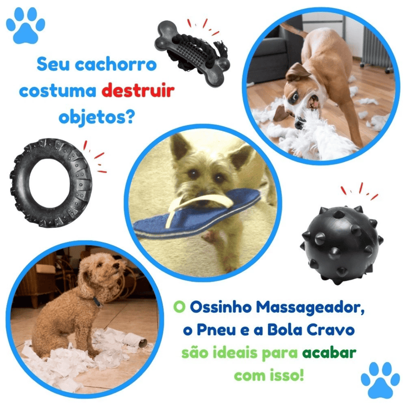 BOX CÃO FELIZ - 3 BRINQUEDOS + BRINDE